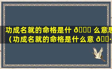 功成名就的命格是什 💐 么意思（功成名就的命格是什么意 🌷 思呢）